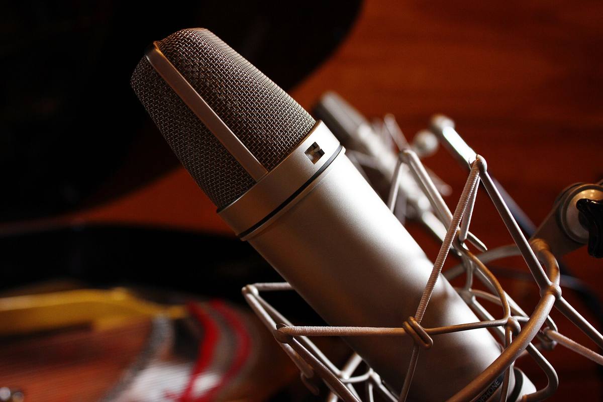 Studiový kondenzátorový mikrofon na pružném závěsu